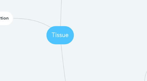 Mind Map: Tissue