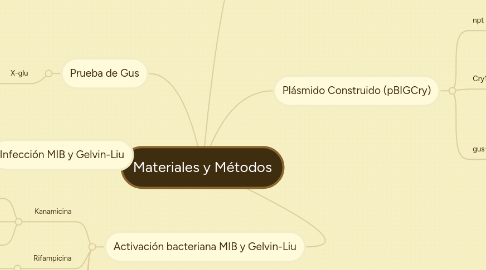 Mind Map: Materiales y Métodos