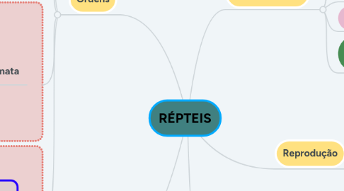 Mind Map: RÉPTEIS