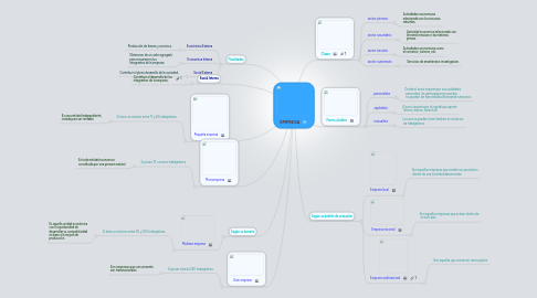 Mind Map: EMPRESA