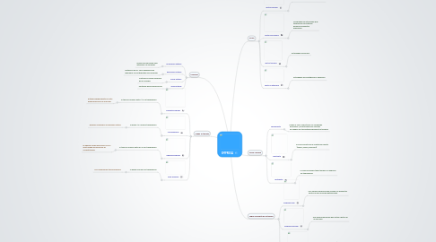 Mind Map: EMPRESA