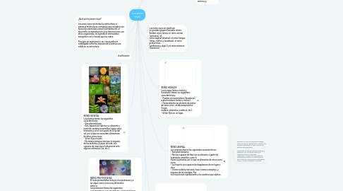 Mind Map: Los seres vivos