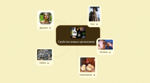 Mind Map: Свойства живых организмов