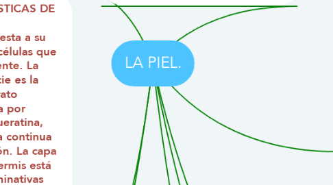Mind Map: LA PIEL.