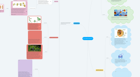 Mind Map: Los seres vivos (1)