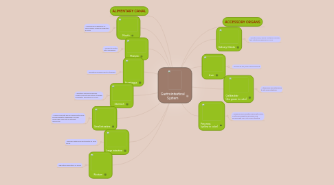 Mind Map: Gastrointestinal System