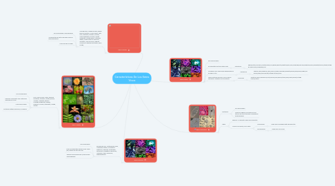 Mind Map: Características De Los Seres Vivos