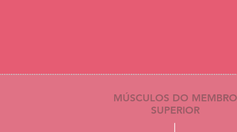 Mind Map: MÚSCULOS DO MEMBRO SUPERIOR