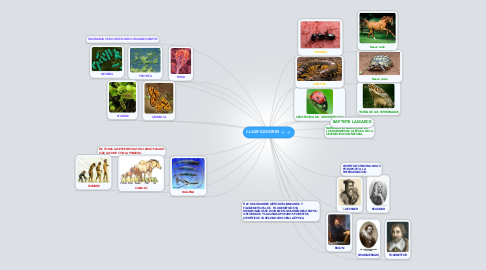 Mind Map: CLASIFICADORES