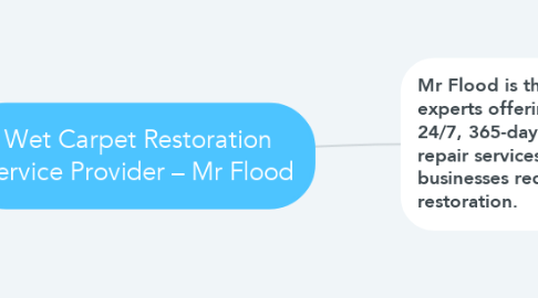 Mind Map: Wet Carpet Restoration Service Provider – Mr Flood
