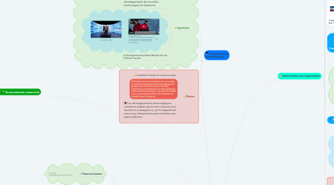 Mind Map: Canada Goose
