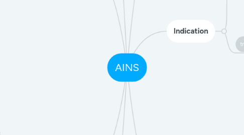 Mind Map: AINS