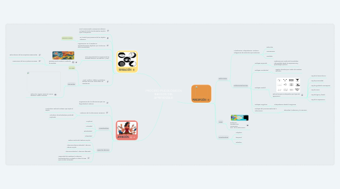 Mind Map: PROCESO PSICOLÓGICOS BÁSICOS DEL APRENDIZAJE