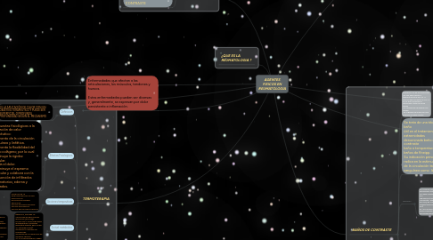 Mind Map: AGENTES FISICOS EN REUMATOLOGIA