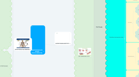 Mind Map: ANATOMI FISIOLOGI SISTEM MUSCULOSKELETAL