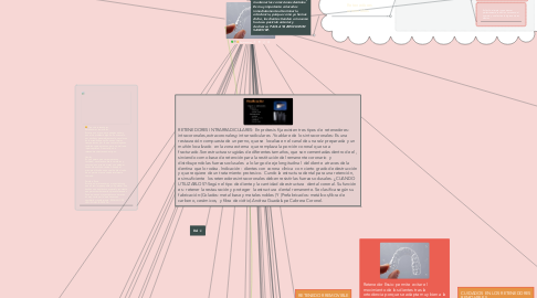 Mind Map: Retenedores