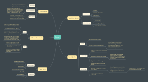 Mind Map: Temsil