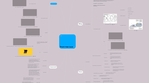 Mind Map: Business Model Canvas