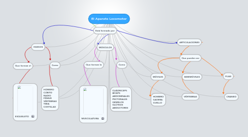 Mind Map: El Aparato Locomotor