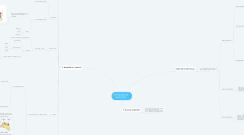 Mind Map: LA FUNCIÓN DE RELACIÓN