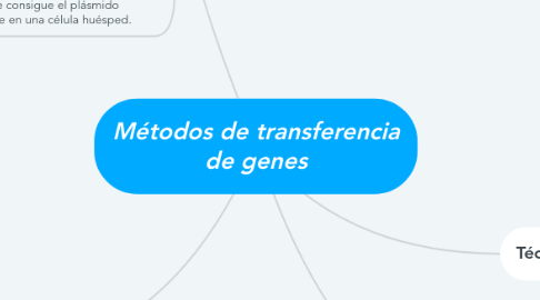 Mind Map: Métodos de transferencia de genes
