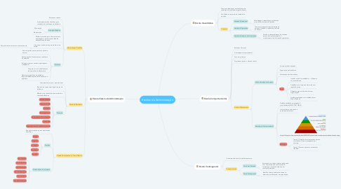 Mind Map: Escolas da Administração