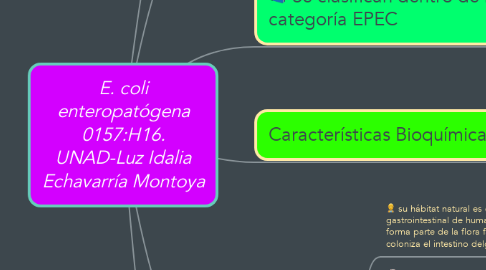 Mind Map: E. coli enteropatógena 0157:H16. UNAD-Luz Idalia Echavarría Montoya