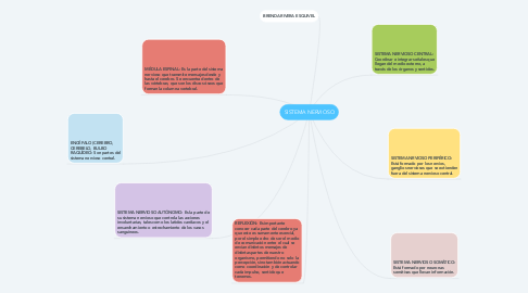 Mind Map: SISTEMA NERVIOSO