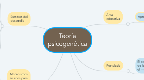 Mind Map: Teoría psicogenética