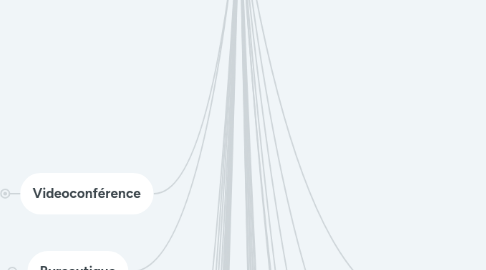 Mind Map: Nos usages numériques