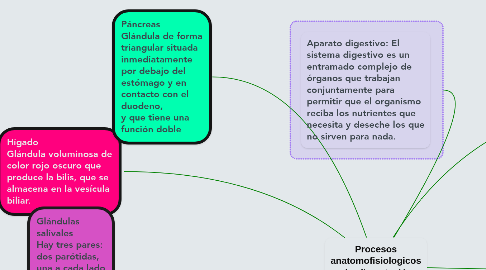 Mind Map: Procesos anatomofisiologicos en la alimentación y nutrición.