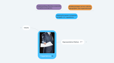 Mind Map: Experience