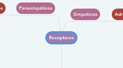 Mind Map: Receptores