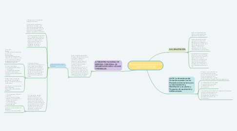 Mind Map: Reglamento de los servicios de Seguridad privada