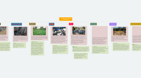 Mind Map: Problemáticas ambientales en Colombia