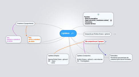 Mind Map: Lipídeos