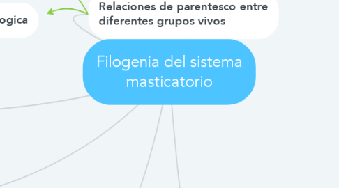 Mind Map: Filogenia del sistema masticatorio