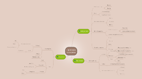 Mind Map: Fizjologia człowieka