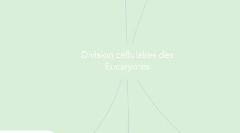 Mind Map: Division cellulaires des Eucaryotes