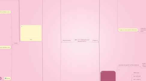 Mind Map: wk8-1.13-1.14:Enzymes and Enzyme kinetics