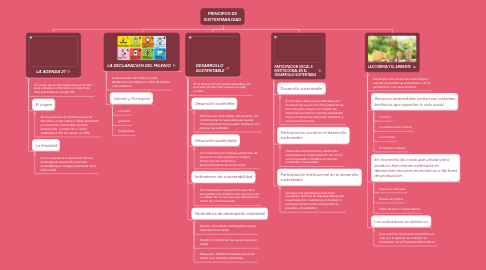 Mind Map: PRINCIPOS DE SUSTENTABILIDAD