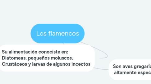 Mind Map: Los flamencos