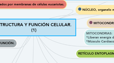 Mind Map: ESTRUCTURA Y FUNCIÓN CELULAR.  (1)