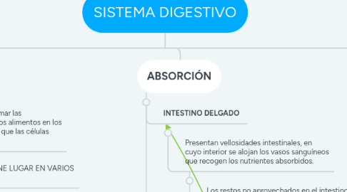 Mind Map: SISTEMA DIGESTIVO