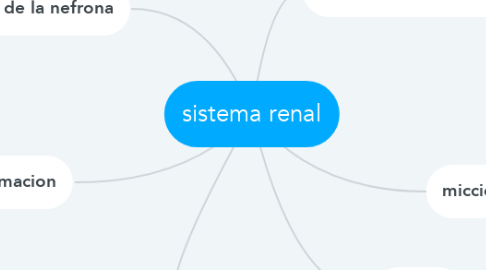 Mind Map: sistema renal