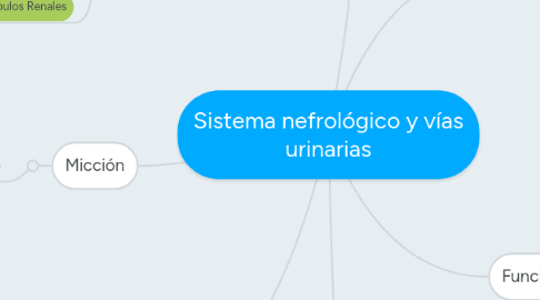 Mind Map: Sistema nefrológico y vías urinarias