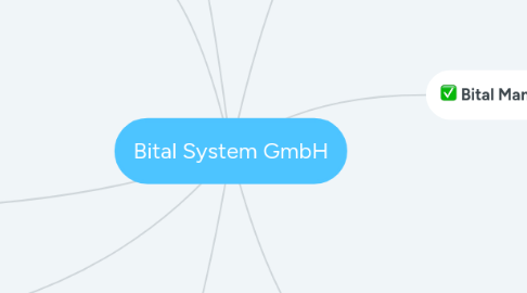 Mind Map: Bital System GmbH