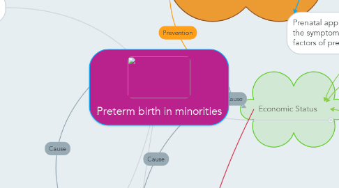 Mind Map: Preterm birth in minorities