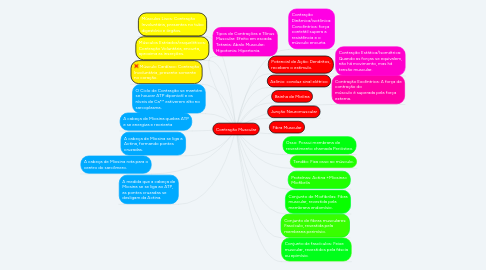 Mind Map: Contração Muscular