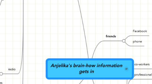 Mind Map: Anjelika's brain-how information gets in